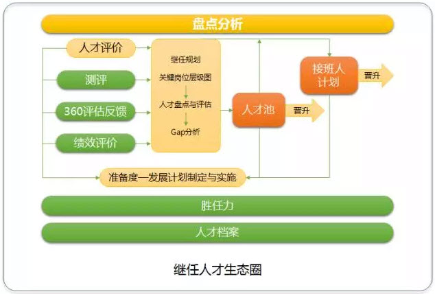 继任人才生态图